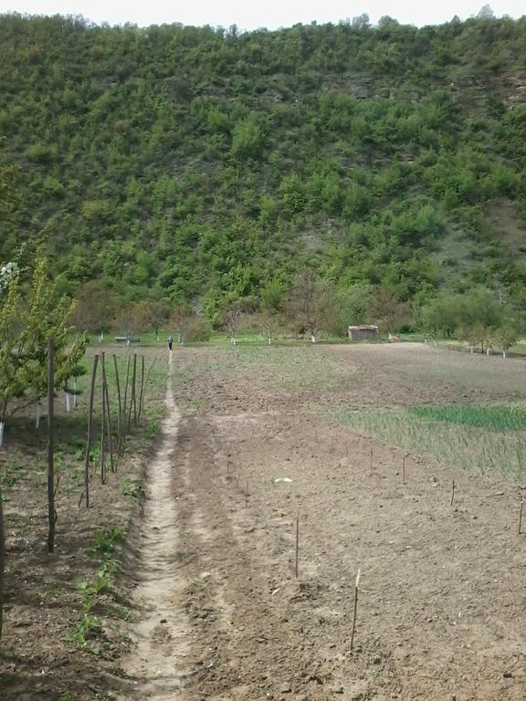 La Popas Orhei Ngoại thất bức ảnh